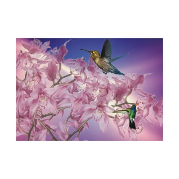 Pink Orchid Poster