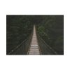 101875-605.jpg Bridge Leading to a Dense Forest Poster
