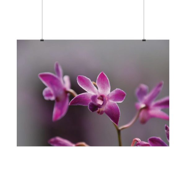 Macro Flower Plant Poster