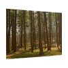 101875-612.jpg Leominster State Forest Poster