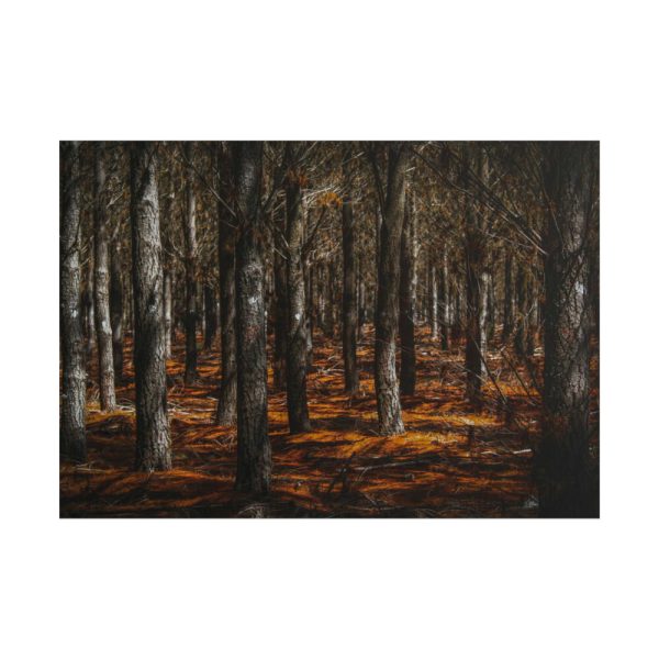 101875-615.jpg Dark Overgrown Forest Poster