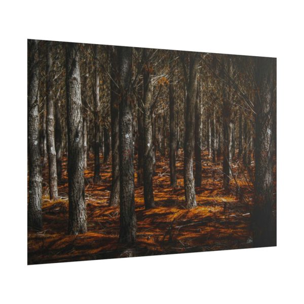 101875-617.jpg Dark Overgrown Forest Poster