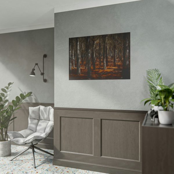 101875-619.jpg Dark Overgrown Forest Poster