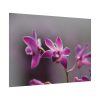 Macro Flower Plant Poster