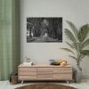 101875-628.jpg A Path Through the Forest Poster