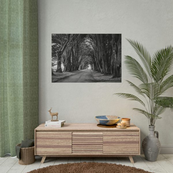 101875-628.jpg A Path Through the Forest Poster