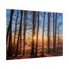 101875-632.jpg Forest Landscape with Sun and Trees Poster
