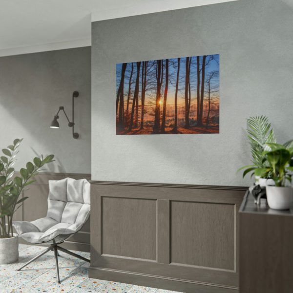 101875-634.jpg Forest Landscape with Sun and Trees Poster