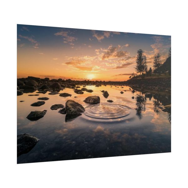101875-637.jpg Water Reflection in the Forest Poster