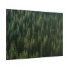 101875-647.jpg Forest on Mount Saint Helens Poster