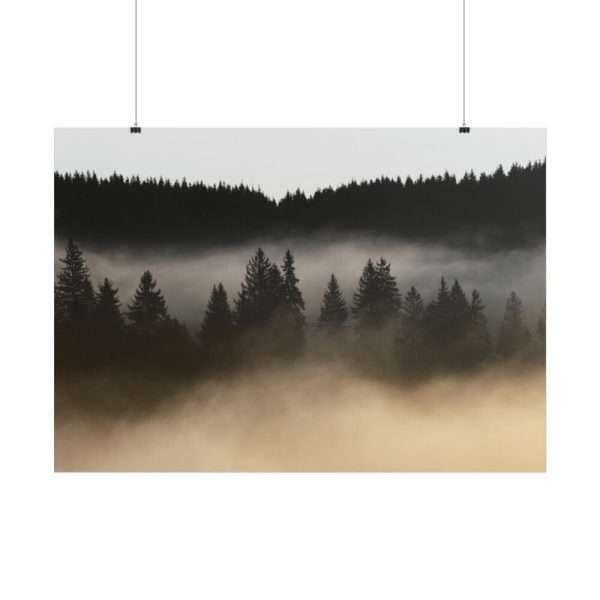 101875-651.jpg Trees and Forest in the Fog Poster