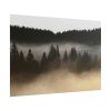101875-652.jpg Trees and Forest in the Fog Poster