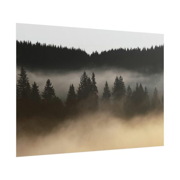 101875-652.jpg Trees and Forest in the Fog Poster