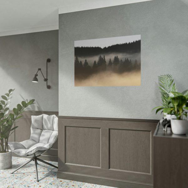 101875-654.jpg Trees and Forest in the Fog Poster