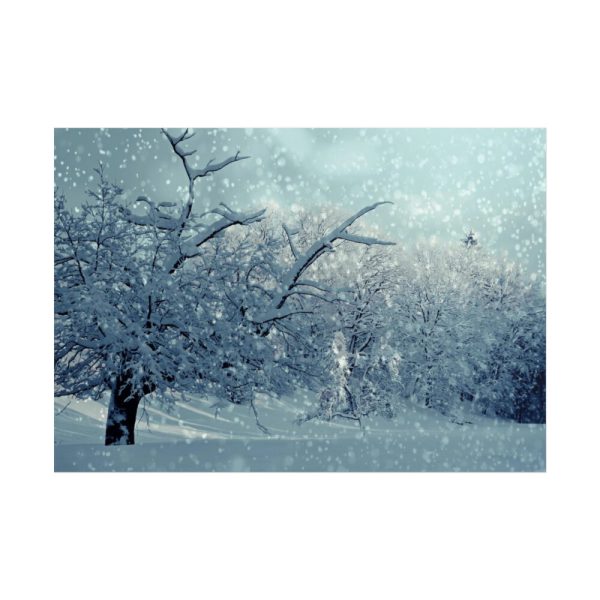 101875-655.jpg Forest Covered with Snow Poster