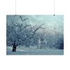 101875-656.jpg Forest Covered with Snow Poster