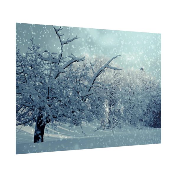 101875-657.jpg Forest Covered with Snow Poster