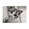 101875-66.jpg Kitten and Finger Poster