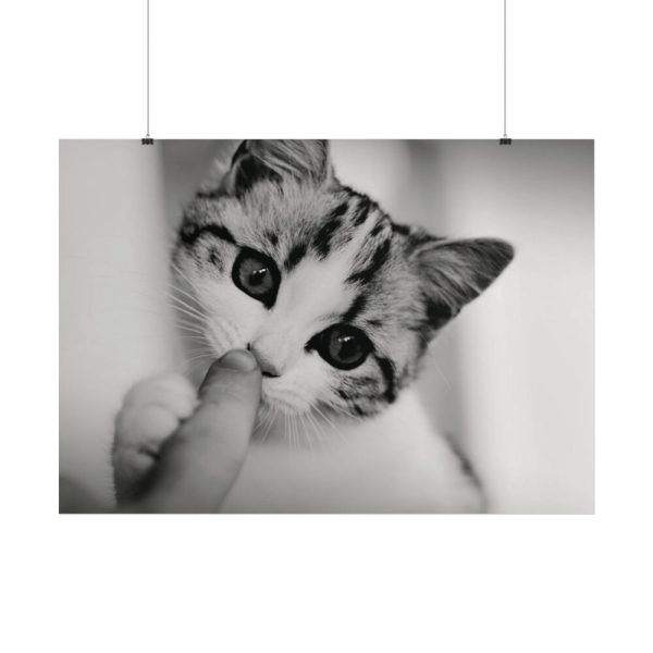 101875-66.jpg Kitten and Finger Poster