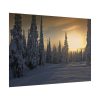 101875-662.jpg Dawn and Winter in the Forest Poster