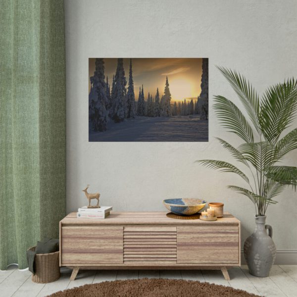 101875-663.jpg Dawn and Winter in the Forest Poster