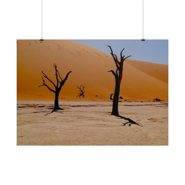 101875-676.jpg Desolate Trees in the Sandy Desert of Deadvlei Hiking Trail Poster