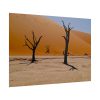 101875-677.jpg Desolate Trees in the Sandy Desert of Deadvlei Hiking Trail Poster