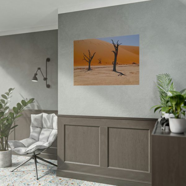 101875-679.jpg Desolate Trees in the Sandy Desert of Deadvlei Hiking Trail Poster