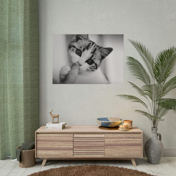 101875-68.jpg Kitten and Finger Poster