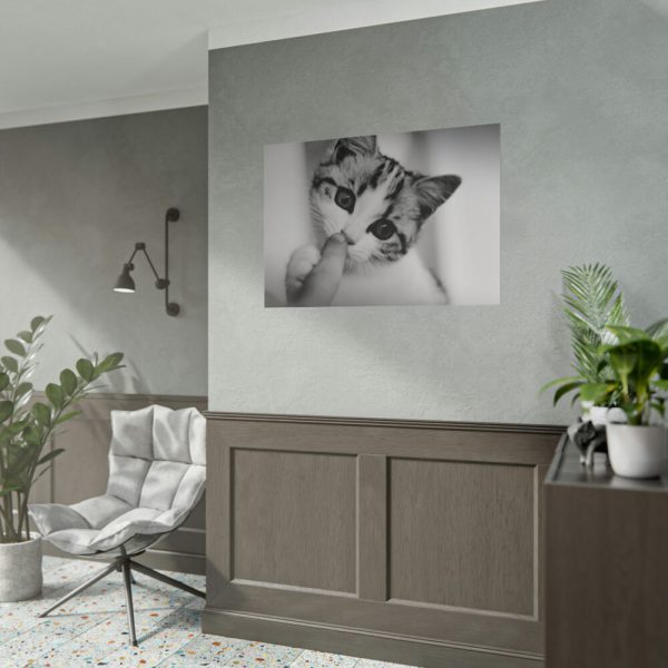 101875-69.jpg Kitten and Finger Poster