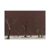 101875-690.jpg Deadvlei Sunrise Poster