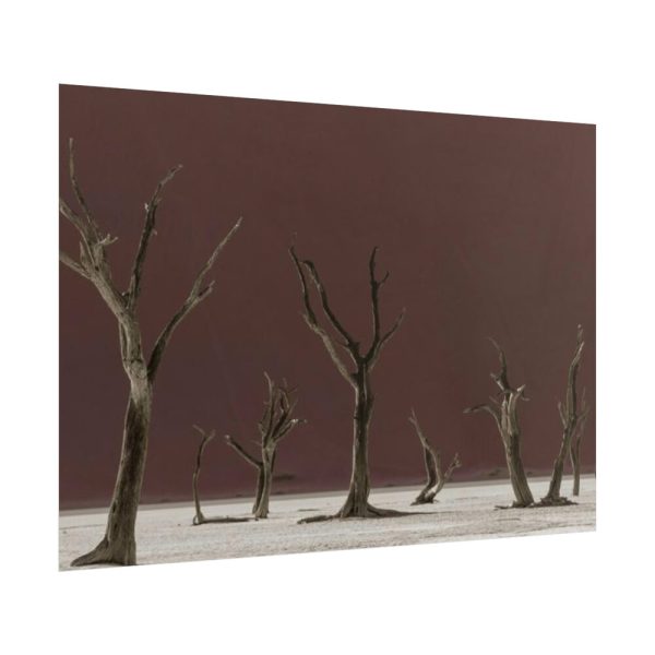 101875-692.jpg Deadvlei Sunrise Poster