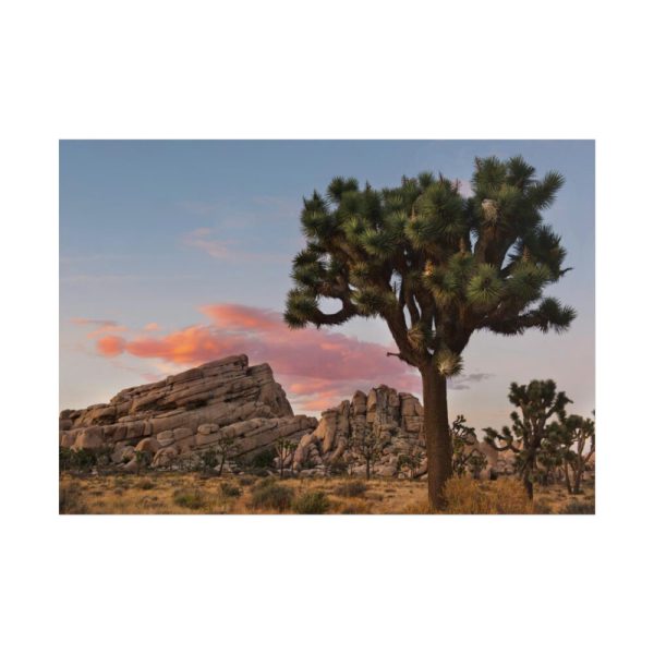 101875-695.jpg Sunset near Turtle Rock Poster