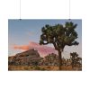 101875-696.jpg Sunset near Turtle Rock Poster