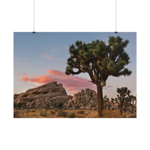 101875-696.jpg Sunset near Turtle Rock Poster