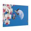 Humming Birds Poster
