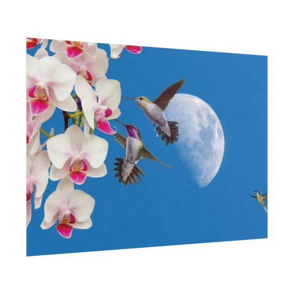 Humming Birds Poster