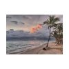 101875-700.jpg Dominican Republic Beach Poster