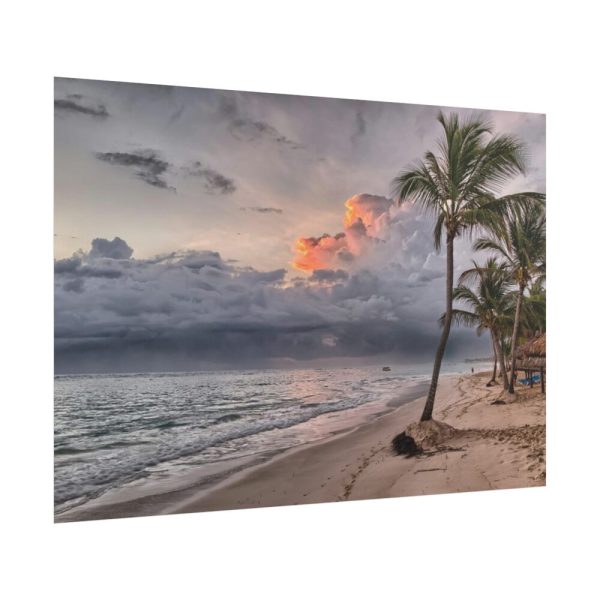 101875-702.jpg Dominican Republic Beach Poster
