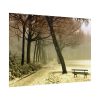 101875-712.jpg Cold Frost Season in Nature Poster