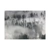 101875-720.jpg Trees in Lamar Valley Poster