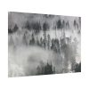 101875-722.jpg Trees in Lamar Valley Poster
