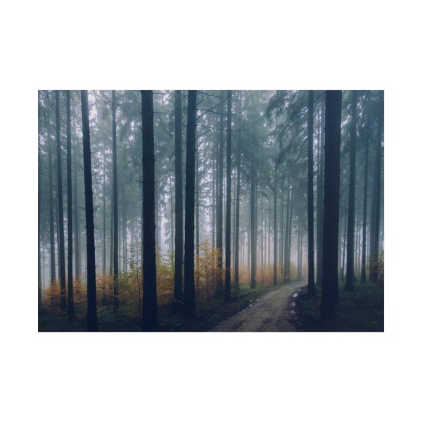 101875-725.jpg Into the Woods Poster