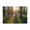 101875-731.jpg Spring day Poster
