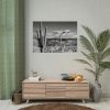 101875-748.jpg Black and White Cactus in Desert Poster