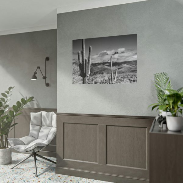 101875-749.jpg Black and White Cactus in Desert Poster