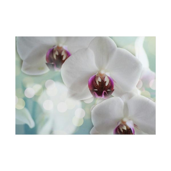 Flowering Plant Poster