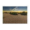 101875-750.jpg Drought Dehydrated Clay Floor Earth Cracked Poster