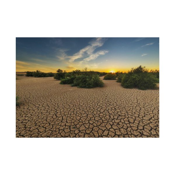 101875-750.jpg Drought Dehydrated Clay Floor Earth Cracked Poster