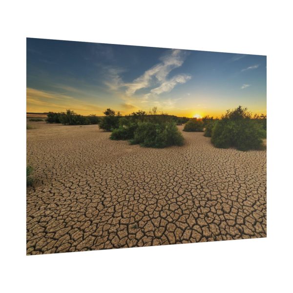 101875-752.jpg Drought Dehydrated Clay Floor Earth Cracked Poster